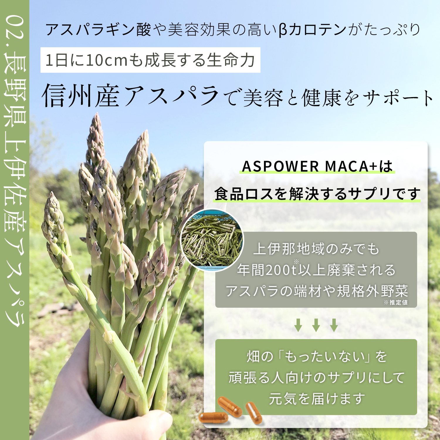 ASPOWER（アスパワー） MACA+サプリメント